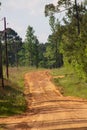 Country gravel and dirt road in the forest Royalty Free Stock Photo