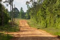 Country gravel and dirt road in the forest Royalty Free Stock Photo