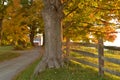 Country gravel driveway to a farm Royalty Free Stock Photo