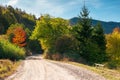 country gravel road in apuseni mountains, cluj country, romania Royalty Free Stock Photo