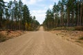 Country gravel road in the forest Royalty Free Stock Photo