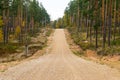 Country gravel road in the forest Royalty Free Stock Photo