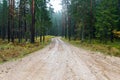 Country gravel road in the forest Royalty Free Stock Photo