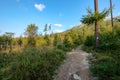 country gravel road leading up to the mountains Royalty Free Stock Photo