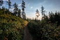 country gravel road leading up to the mountains Royalty Free Stock Photo