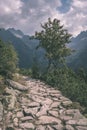 country gravel road leading up to the mountains - vintage retro Royalty Free Stock Photo