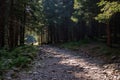 country gravel road leading up to the mountains Royalty Free Stock Photo