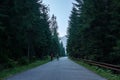 country gravel road leading up to the mountains Royalty Free Stock Photo