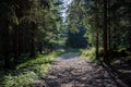 country gravel road leading up to the mountains Royalty Free Stock Photo