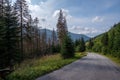 country gravel road leading up to the mountains Royalty Free Stock Photo