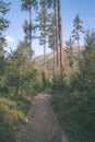 country gravel road leading up to the mountains - vintage retro Royalty Free Stock Photo