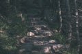 country gravel road leading up to the mountains - vintage retro Royalty Free Stock Photo