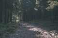 country gravel road leading up to the mountains - vintage retro Royalty Free Stock Photo