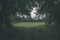 country gravel road leading up to the mountains - vintage retro Royalty Free Stock Photo