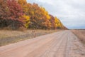 Country gravel road in rural Wisconsin with fall color autumn trees - yellow, orange, red, and brown Royalty Free Stock Photo