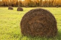 Country hay