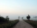 Country highroad in fog