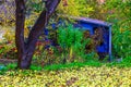 Country Home in Colorful Bushes In Autumn Royalty Free Stock Photo