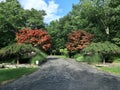 Country Home Driveway and Landscaping Royalty Free Stock Photo