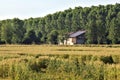 Country house in the middle of a wheat field with a row of poplars next to it in summer at sunset Royalty Free Stock Photo