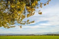 Country idyll with view to German highlands