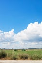 Country landscape with agrarian field and blue sky