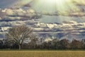 Country landscape. Agricultural land bordered by treeline. Rural Norfolk UK Royalty Free Stock Photo