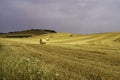 Country landscape near Matera and Gravina di Puglia Royalty Free Stock Photo