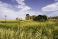 Country landscape near  Matera and Gravina di Puglia Royalty Free Stock Photo