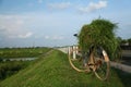 A country landscape with bicycle and grass Royalty Free Stock Photo