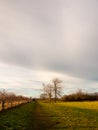 Country landscape empty open space tree line sky Royalty Free Stock Photo