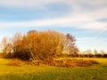 Country landscape empty open space tree line sky Royalty Free Stock Photo