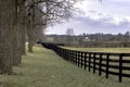 Country landscape with fenceline and trees Royalty Free Stock Photo