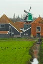 Country landscape with grazing coot bird flock at traditional Dutch windmill and farm house background Royalty Free Stock Photo