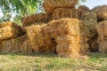 Country landscape with haystacks, a bale of hay group Royalty Free Stock Photo