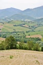 Country landscape in Marche, Italy