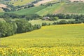 Country landscape in Marches (Italy) Royalty Free Stock Photo
