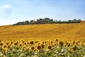 Country landscape in Marches (Italy) Royalty Free Stock Photo