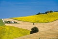 Country landscape in Marches (Italy) Royalty Free Stock Photo