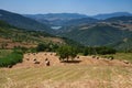 Country landscape near Albano di Lucania, Italy Royalty Free Stock Photo