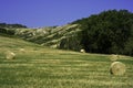 Country landscape near Castrocaro and Predappio, Emilia-Romagna