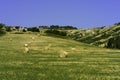 Country landscape near Castrocaro and Predappio, Emilia-Romagna