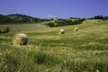 Country landscape near Castrocaro and Predappio, Emilia-Romagna