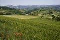 Rural landscape near Guiglia, Emilia-Romagna Royalty Free Stock Photo