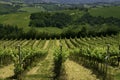 Rural landscape near Guiglia, Emilia-Romagna Royalty Free Stock Photo