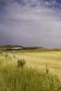 Country landscape near Matera and Gravina di Puglia Royalty Free Stock Photo