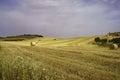 Country landscape near Matera and Gravina di Puglia Royalty Free Stock Photo