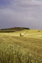 Country landscape near Matera and Gravina di Puglia Royalty Free Stock Photo