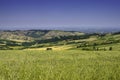 Country landscape near Meldola and Predappio, Emilia-Romagna