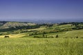 Country landscape near Meldola and Predappio, Emilia-Romagna